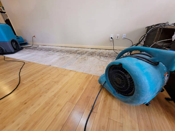 Professional Water Extraction technician working in Kearney, NE